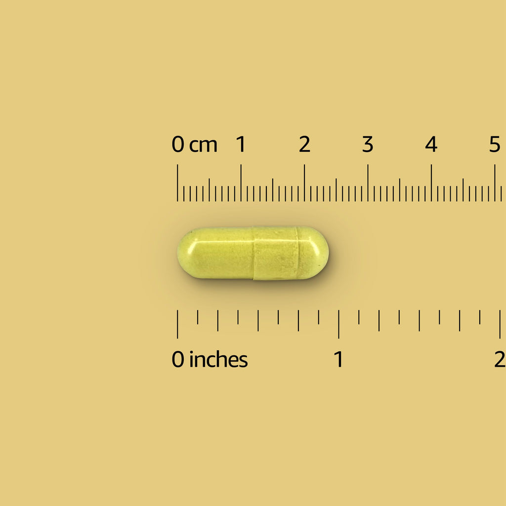 Amazon Elements Quercetin + Bromelain 500 mg - 50 Capsules - image 3