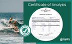 GINSPIRE NUTRITION The Very Best - Alge Omega 3 Vegan Supplement