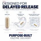 iEnzymes iSerra Advanced Series MAX Serrapeptase 450,000 SPU - 90 Capsules - image 4