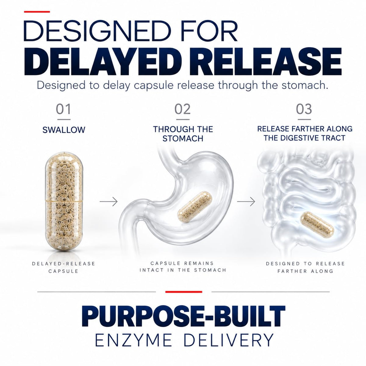 iEnzymes iSerra Advanced Series MAX Serrapeptase 450,000 SPU - 90 Capsules - image 4