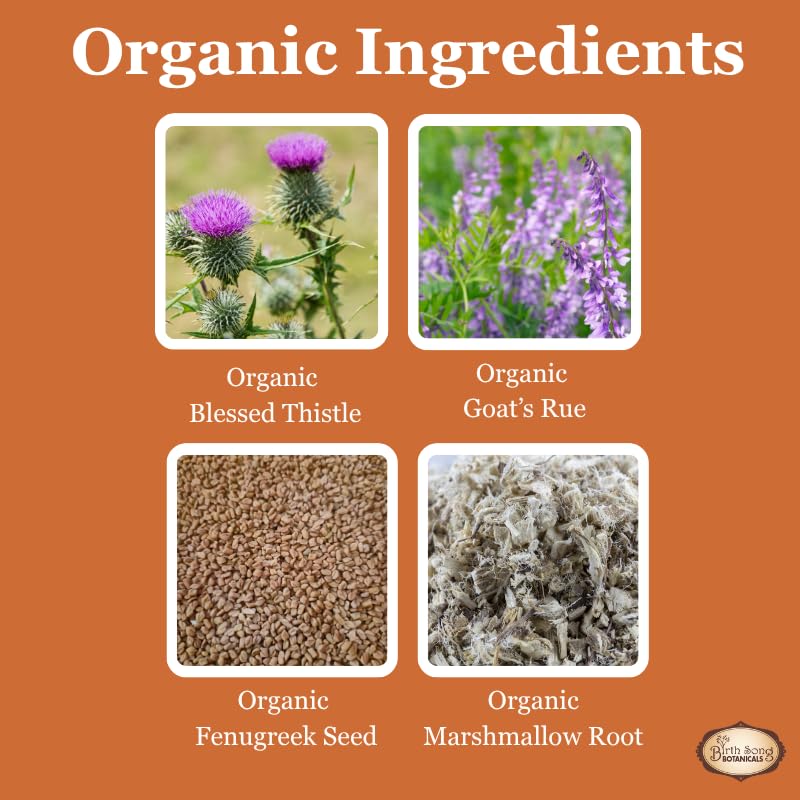 Birth Song Botanicals Let There Be Milk! Herbal Breastfeeding Tincture - 1 oz - image 6