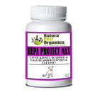 Hepa Protect Max Capsules for Liver and Kidney Health Support