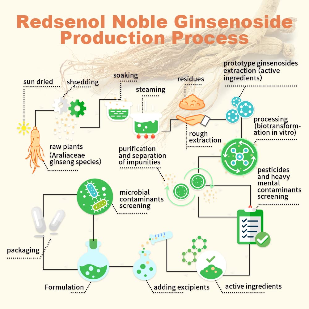 REDSENOL DAG Sublingual Ginseng Extract - 960 Pills - image 7