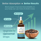 BREATHIUM Mullein Drops for Lungs