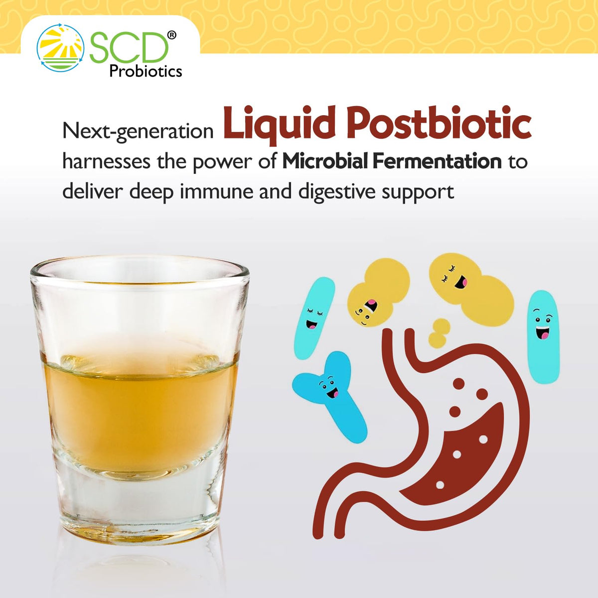 SCD Probiotics Xtra Immunity Postbiotic Liquid - 16.9 fl oz - image 2