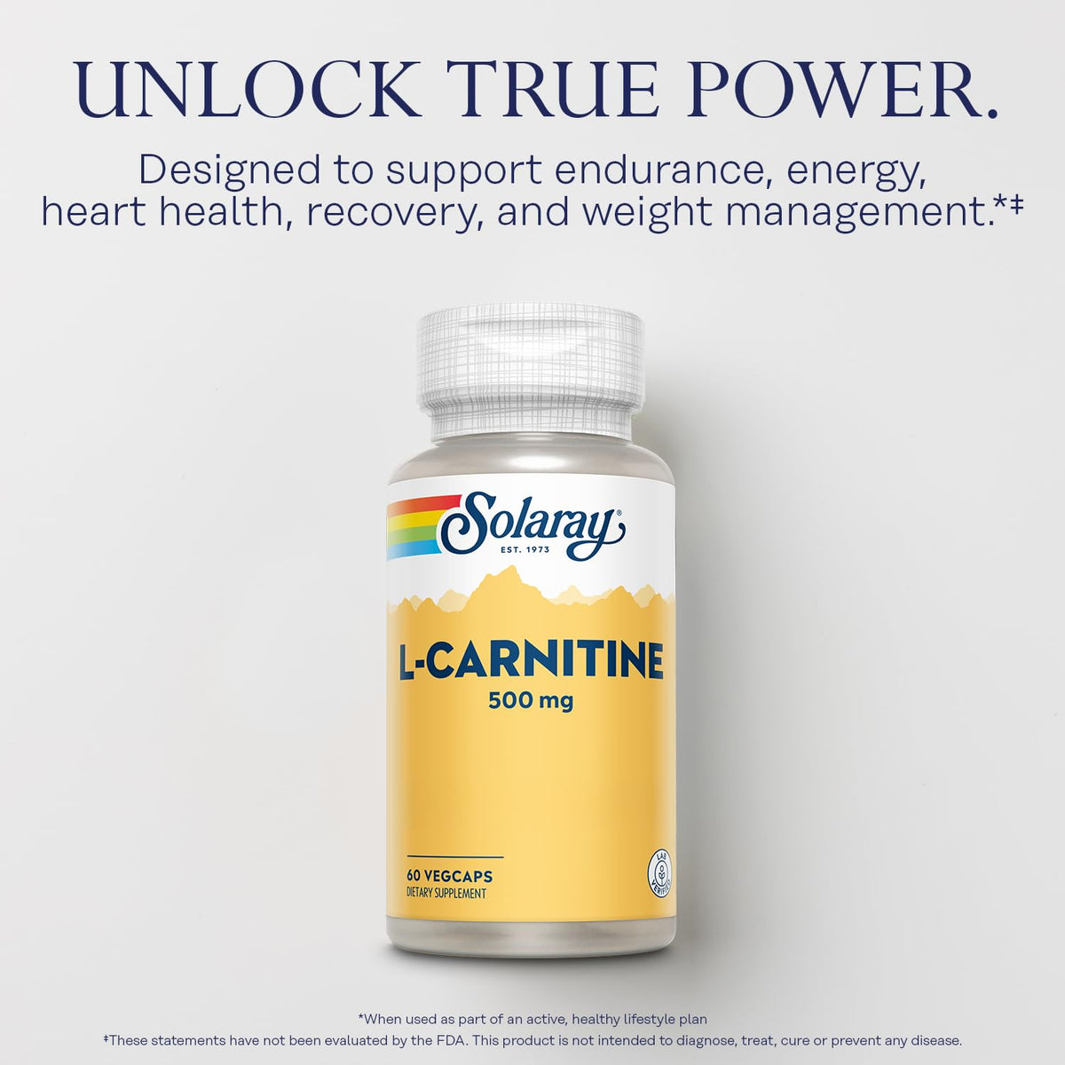 SOLARAY L-Carnitine 500 mg
