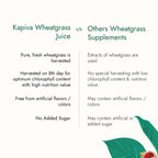 Kapiva Aloe Vera Juice + Wheatgrass Juice Combo - 2L - image 4