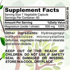 Herbal Forest Magnesium 500 mg - 60 Capsules - image 2