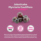Vitapia Jabuticaba Fruit Powder Capsules for Antioxidant Support - image 4