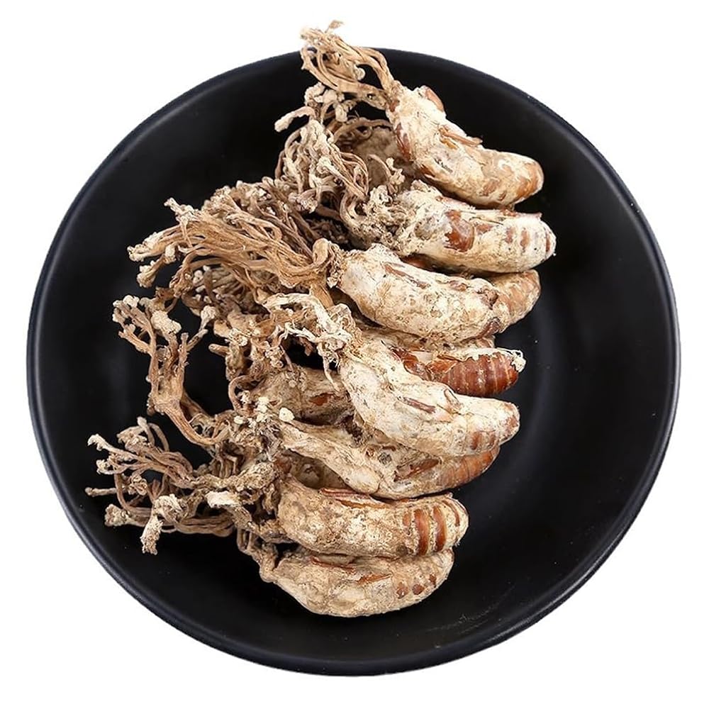 REUEHDS Cordyceps Cicadae Jinchanhua Herbal Tea - 250g