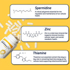 LONGEVITY LABS + spermidineLIFE Supplement - 60 Capsules - image 5