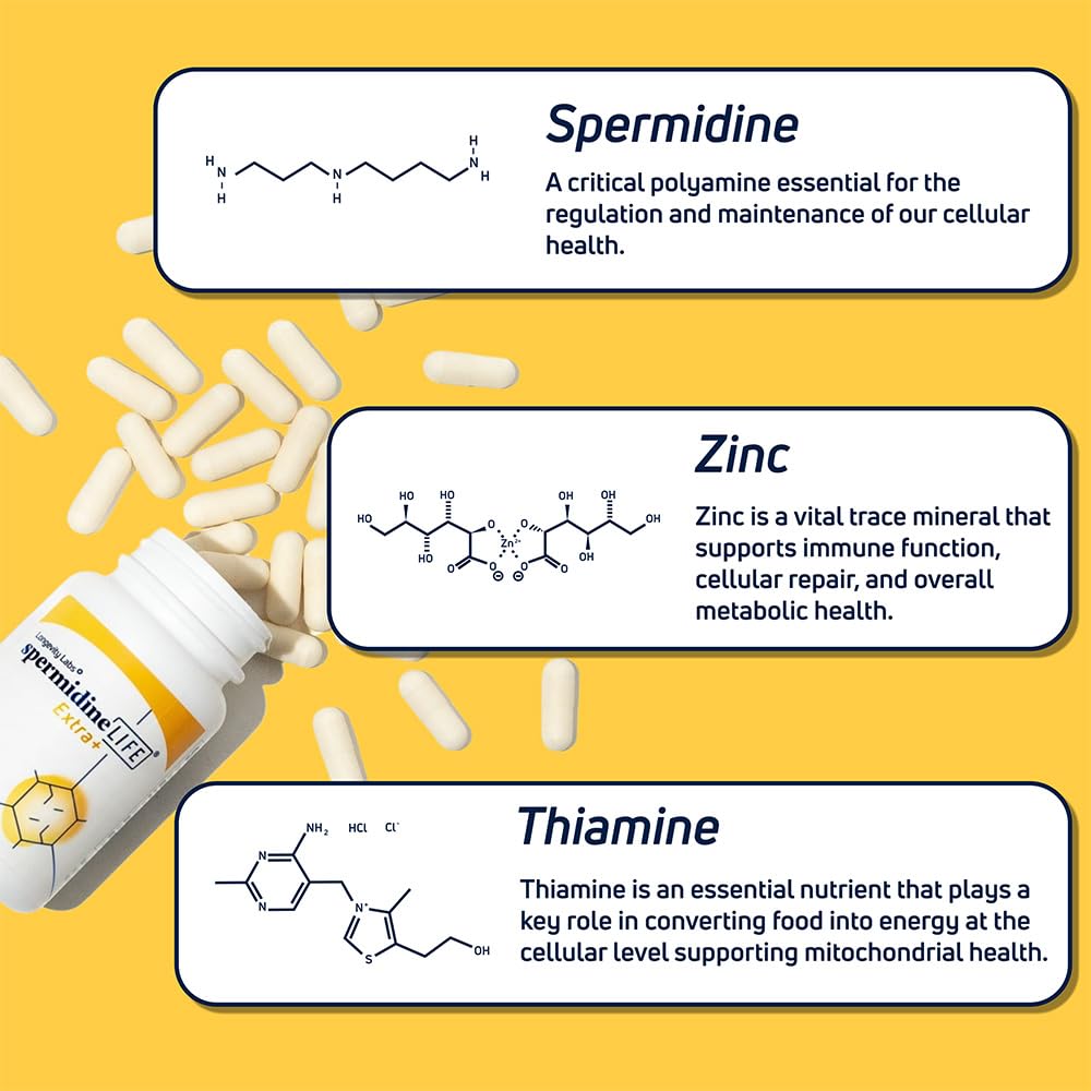 LONGEVITY LABS + spermidineLIFE Supplement - 60 Capsules - image 5