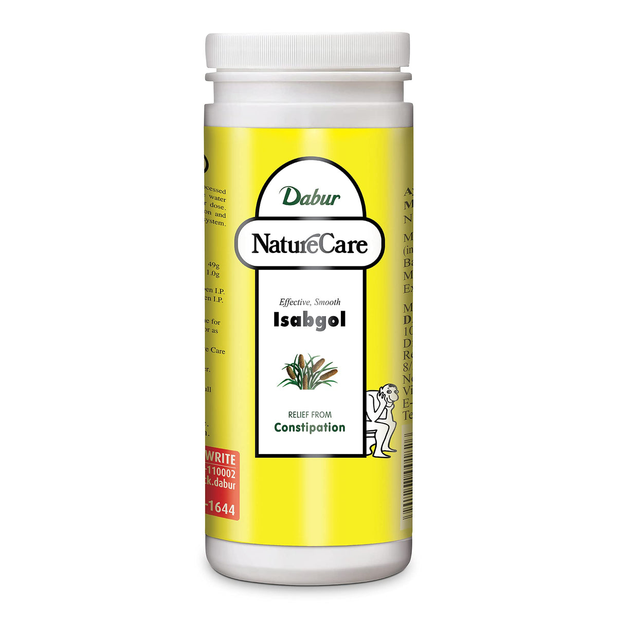 Dabur Nature Care Isabgol Dietary Fibre - 375 g