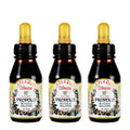 Apiario Silvestre Brazilian Green Bee Propolis Liquid Extract - 3 Fl Oz