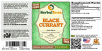 Herbal Terra LLC Black Currant (Ribes nigrum) Tincture