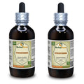 Herbal Terra Gynostemma Pentaphyllum Tincture - 2x4 fl.oz
