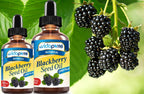MYVIDAPURE BlackBerry Seed Oil Wild Growth RAW 100% Pure Virgin - image 8