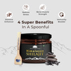SAPTAMVEDA Himalayan Shilajit Resin Liquid - 20g - image 3