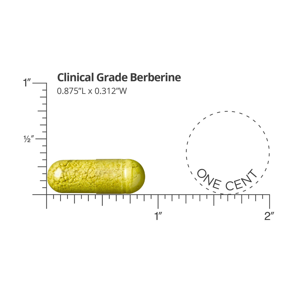 DR.WHITAKER Dr. Whitaker Clinical Grade Berberine Supplement - 90 Capsules - image 2