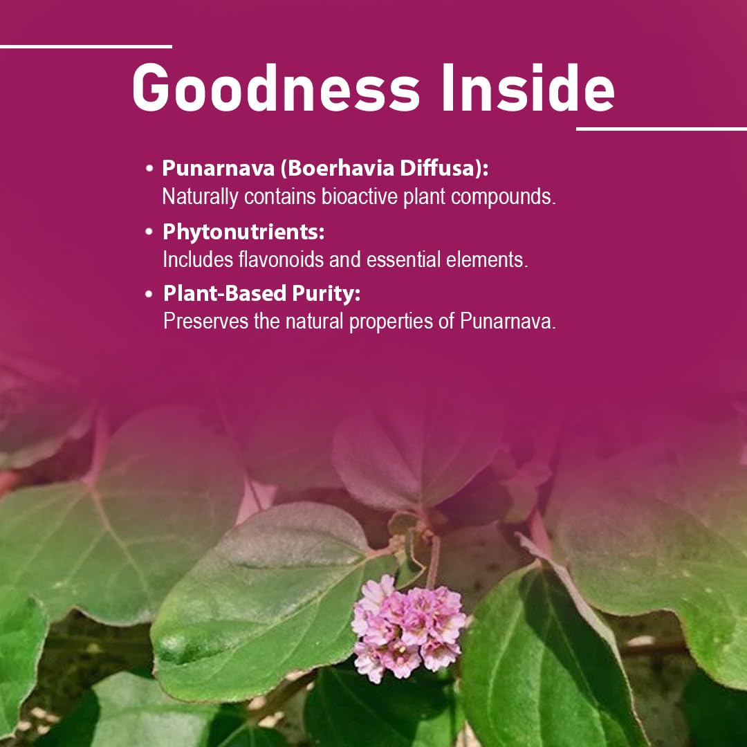 minature mi Nature Punarnava Tablets Herbal Supplement - 90 Tablets - image 3