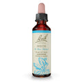 Bach Flower Remedies Beech Essence - 20 mL