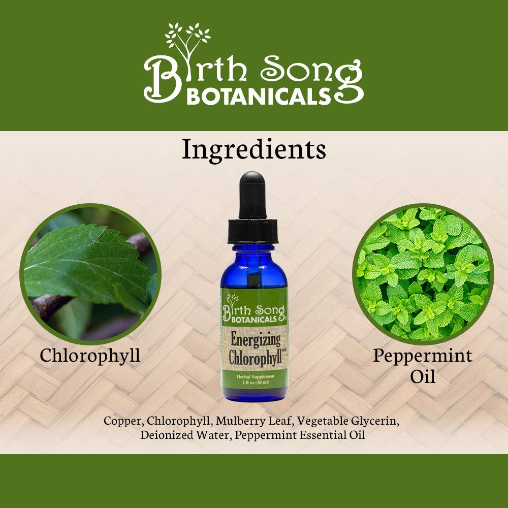 Birth Song Botanicals Energizing Chlorophyll Tincture - 1 Fl Oz - image 4