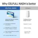 CELFULL NADH Supplement 20mg for Energy & Anti-Aging - 1 Tablets - image 4