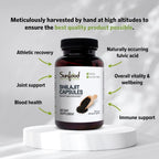 Sunfood Superfoods Raw Shilajit Capsules - 90 Capsules - image 4