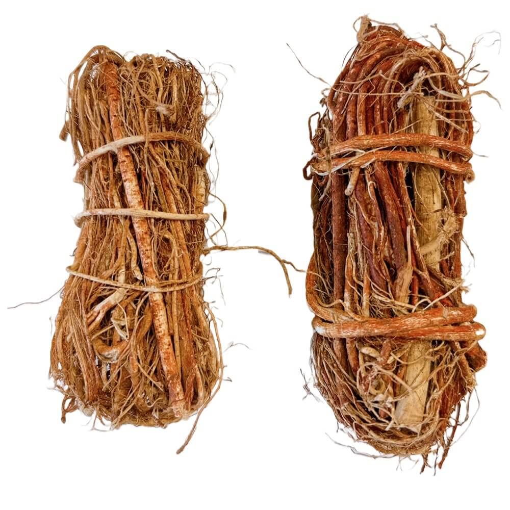 YongWell Hispid Fig Root (Wu Zhi Mao Tao) - 8 oz - image 3