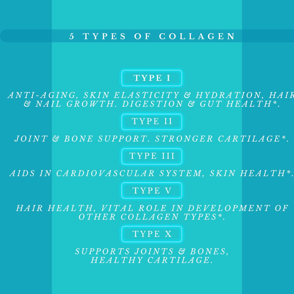 Saint-Marie de los Andes Multi Collagen Pills - 180 Capsules - image 2
