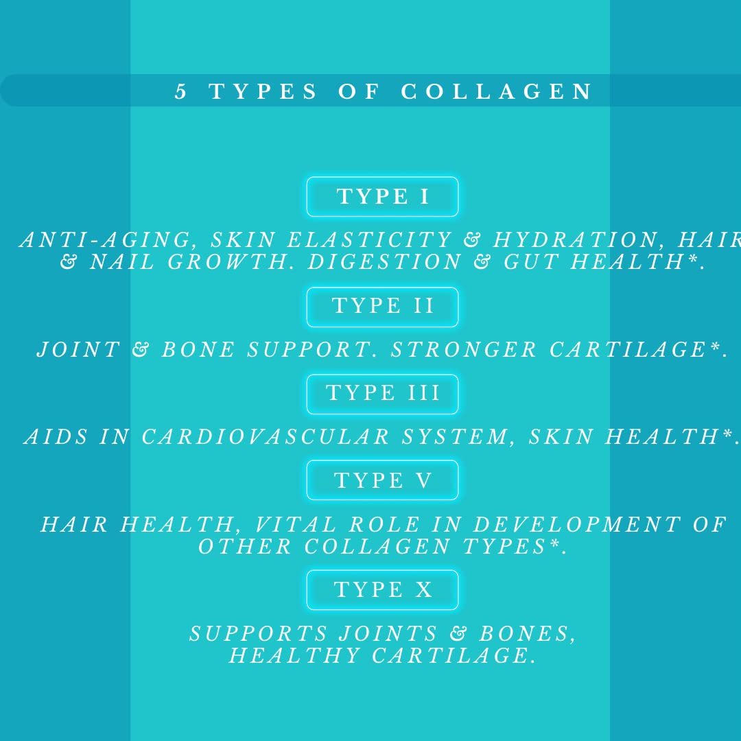 Saint-Marie de los Andes Multi Collagen Pills - 180 Capsules - image 2
