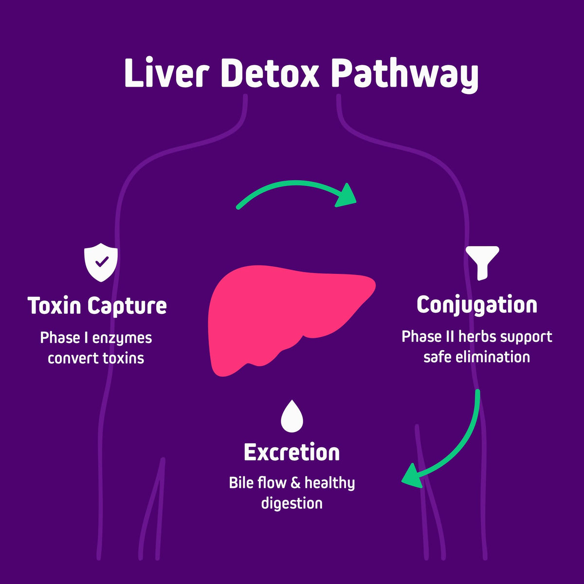 Herbtonics Liver Detox Cleanse with Milk Thistle & Berberine - 120 Capsules - image 4
