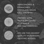 Nootrum Mushrooms with Lion's Mane & Cordyceps - 120 Capsules - image 2