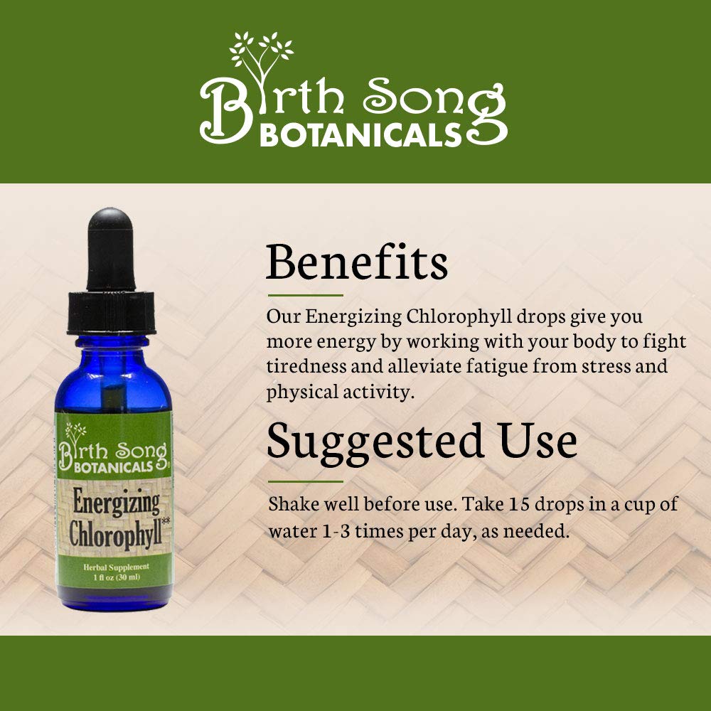 Birth Song Botanicals Energizing Chlorophyll Tincture - 1 Fl Oz - image 5