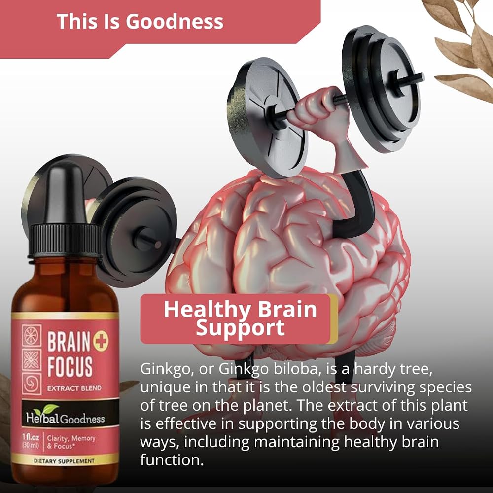 Herbal Goodness Brain and Focus Supplement Liquid Extract - 1 Fl Oz - image 6