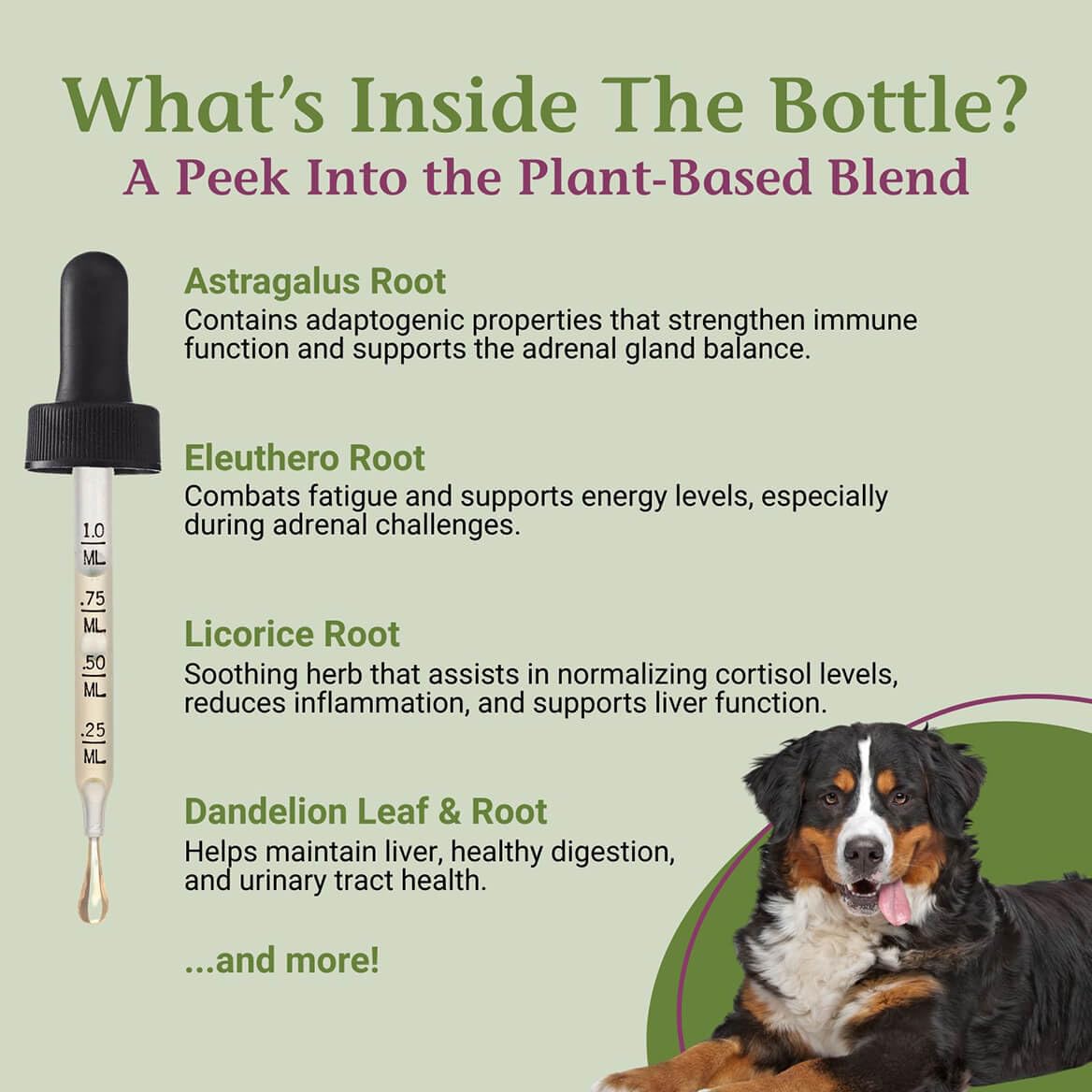 PetAlive Cushex Drops-S Natural Adrenal Support for Dogs - 2 Fl Oz - image 4