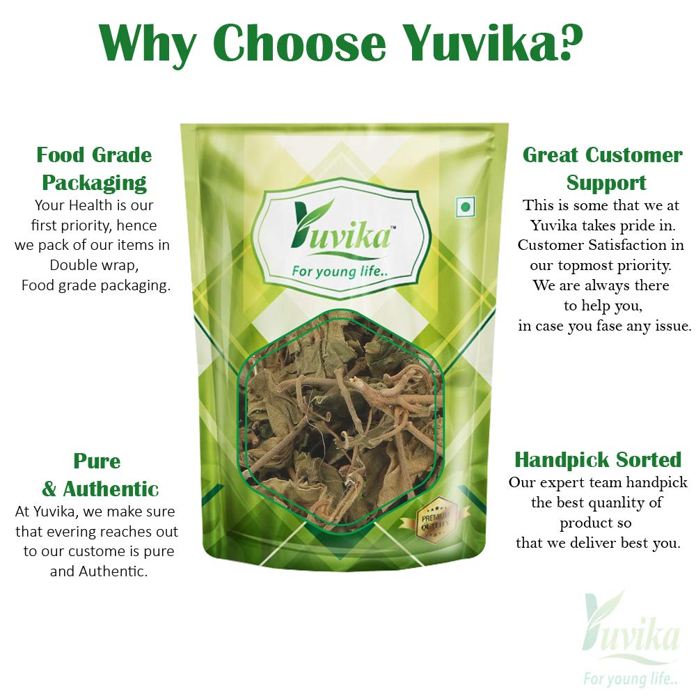 Yuvika Gurmar Leaves Gymnema Sylvestre Herbal Supplement - 400g - image 3