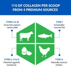 BioTrust Ageless Multi Collagen Protein Powder