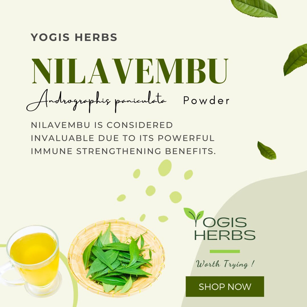 YOGIS HERBS Nilavembu Powder Andrographis Paniculata - 16 Ounce - image 9