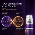 Sundhed Natural CoQ10 with Resveratrol Antioxidant - 60 Capsules - image 4
