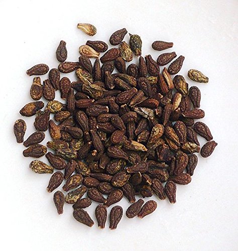 ShubhBhakti Shivlingi Beej Bryonia Laciniosa Seed - 50 Grams