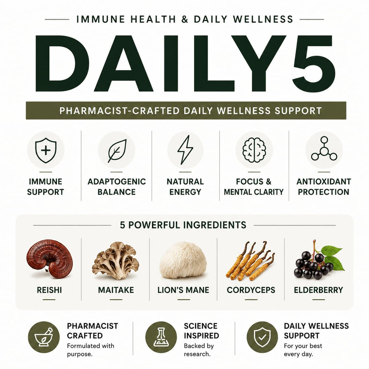 L & L Supplement Daily 5 Multivitamin Mushroom Complex - 60 Capsules - image 3