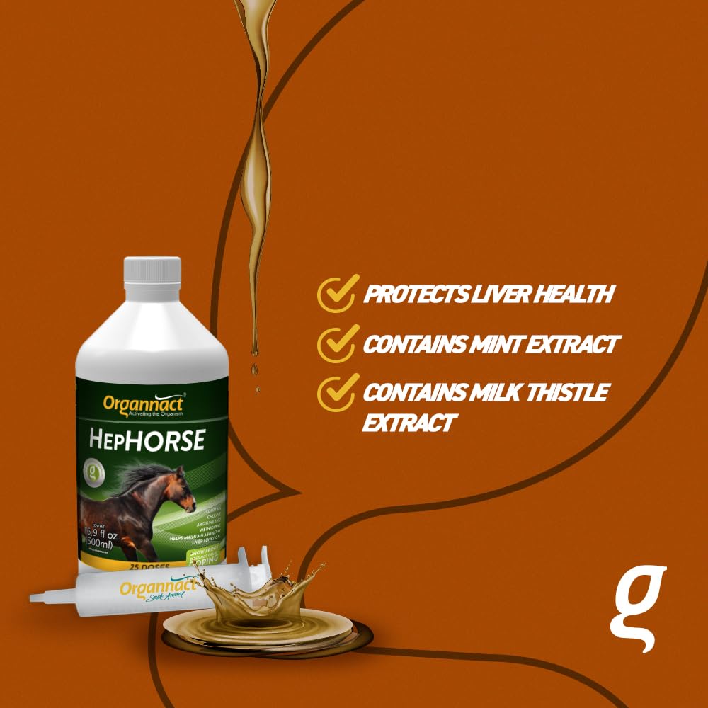 Organnact Hephorse Equine Liver Health Supplement - 16.9 Fl Oz - image 2