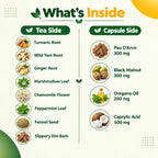 Rachelstea Digestive Relief Tea and Candida Support Bundle - image 5