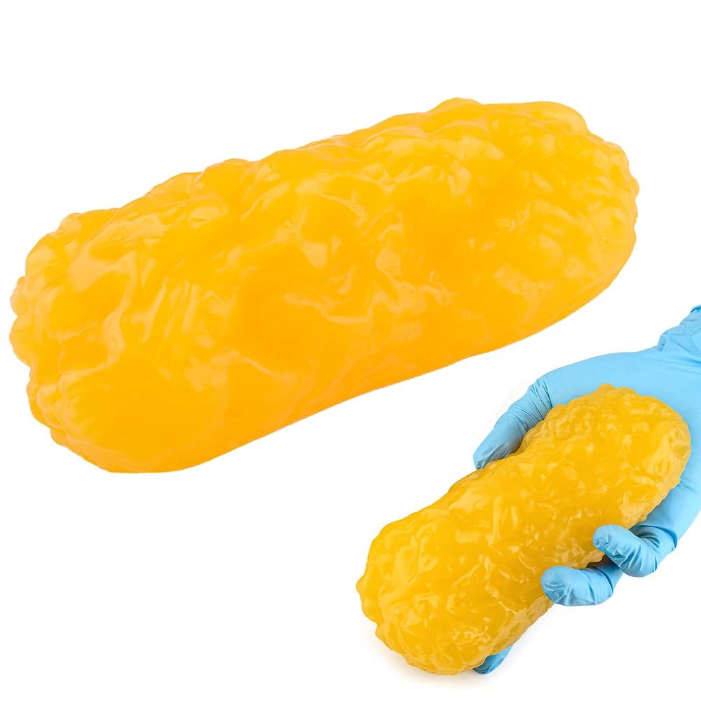 RONTEN 1 lb Human Fat Anatomical Model - Educational Display