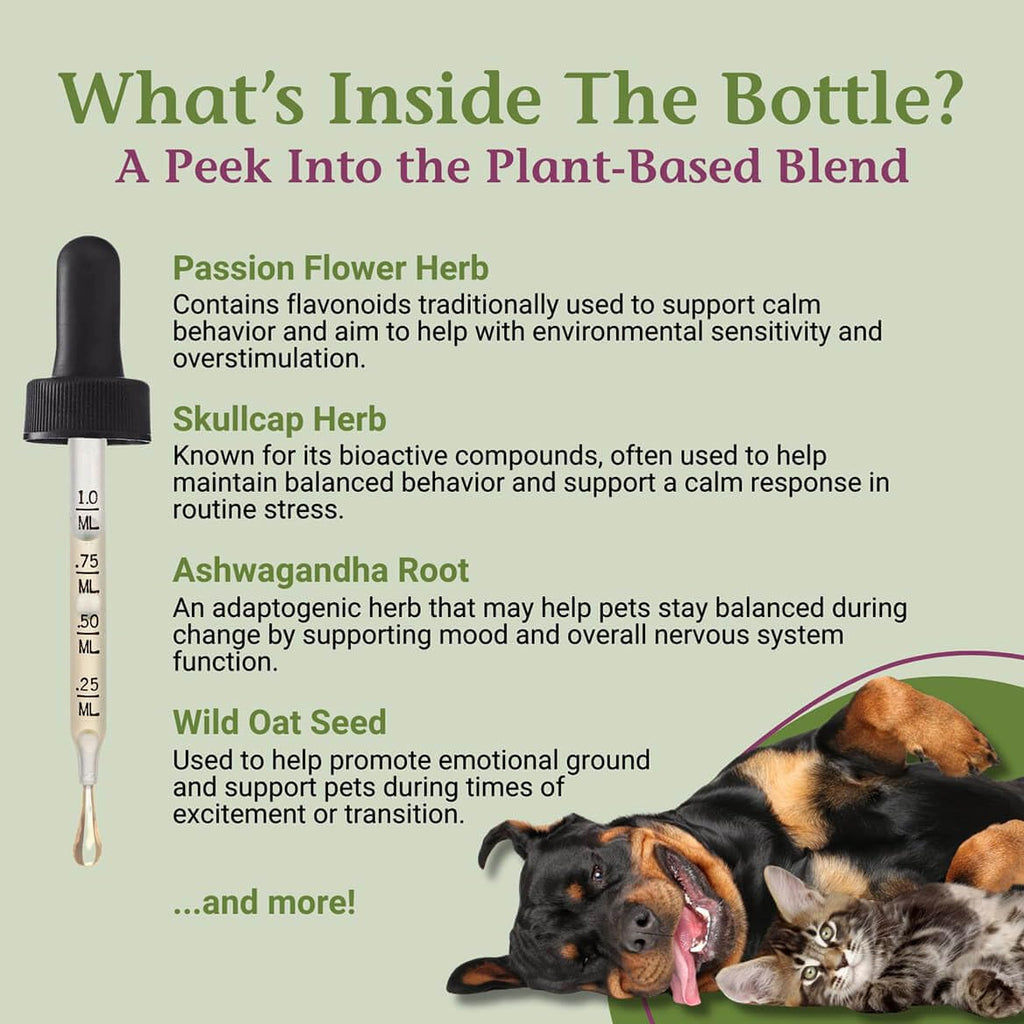 PetAlive EaseSure-S Herbal Nervous System Support for Pets - 2 Fl Oz - image 4