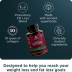 Ancient Nutrition Advanced Multi Collagen Peptides Lean - 90 Capsules - image 2