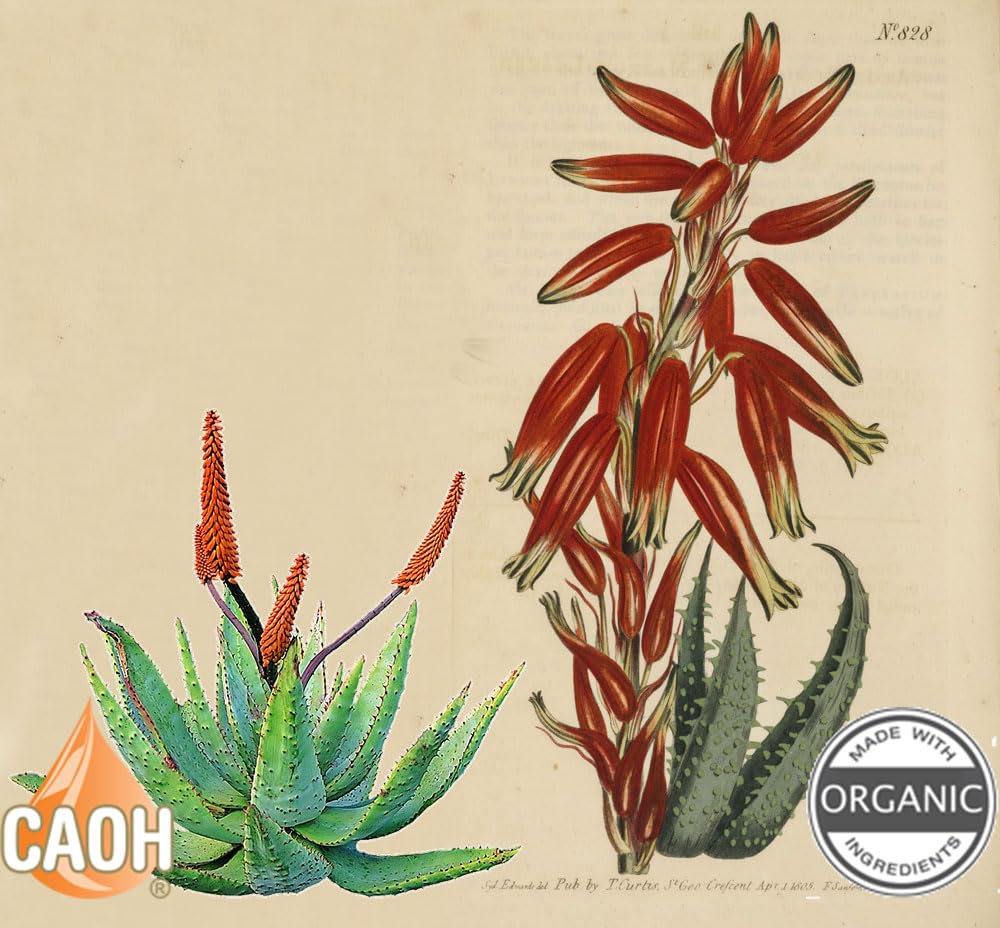 California Academy of Health TheraAloe 200X Aloe Vera - 60 Softgels - image 4