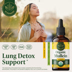 HERBAMAMA USDA Organic Mullein Drops for Lungs - 4 oz - image 2