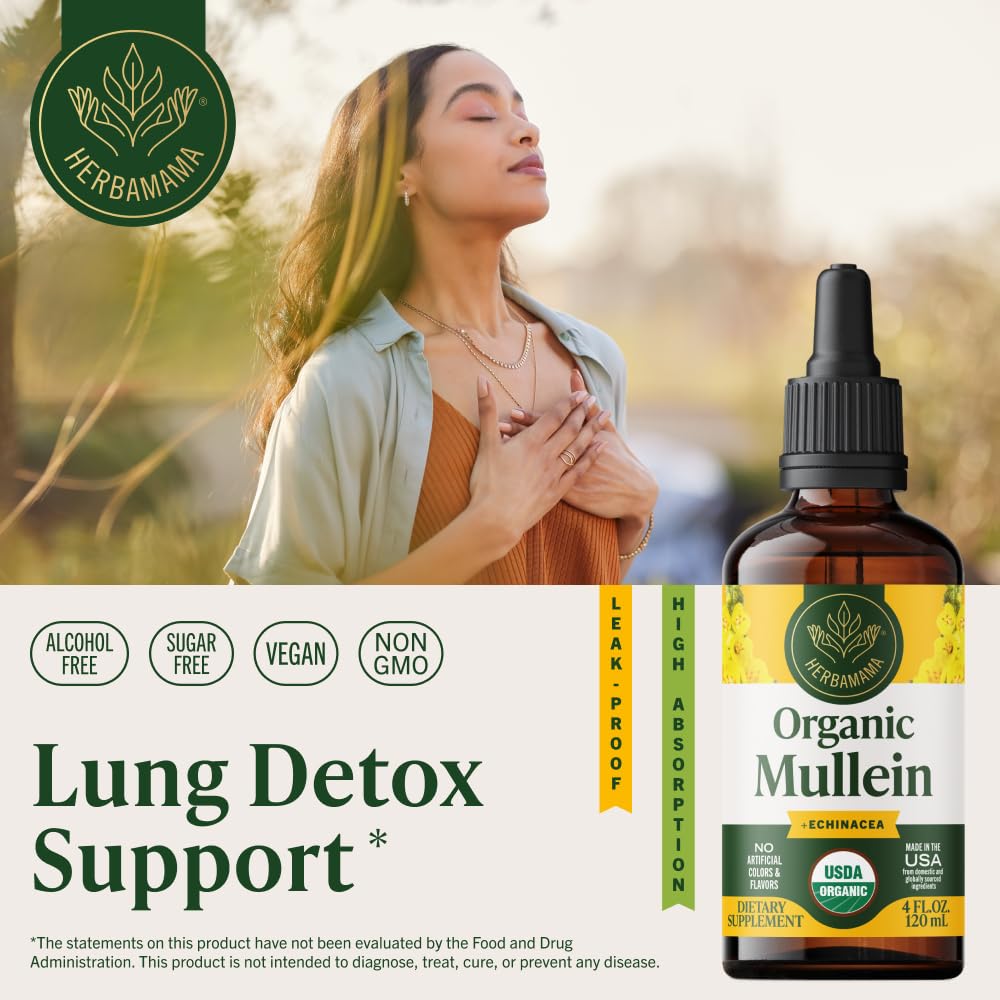 HERBAMAMA USDA Organic Mullein Drops for Lungs - 4 oz - image 2